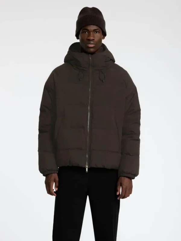 SELECTED VADDERAD PUFFERJACKA Brown Fashion